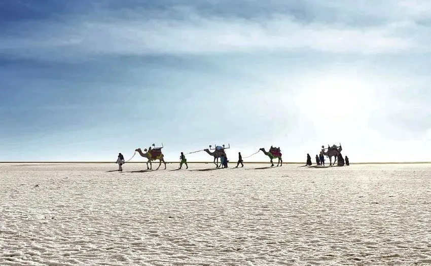 Explore Rann of Kutch Expedition Adventure